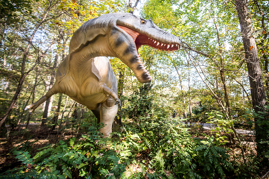 A lifesize model of an Albertasaurus dinosaur in a roaring pose.