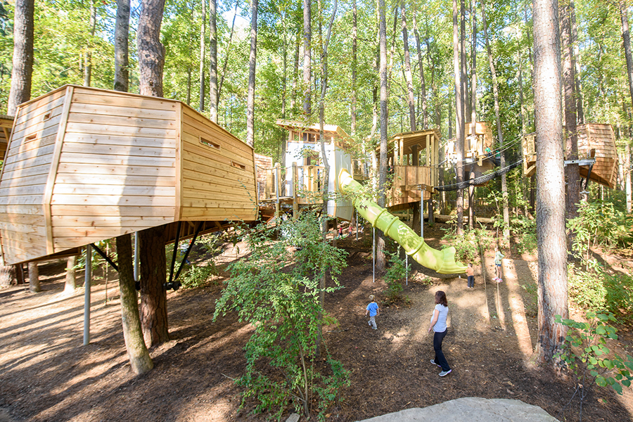 A network of treehouses in a wooded setting.