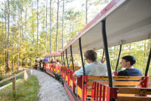 A CP Huntingtion locomotive carries visitors across a tunnel.