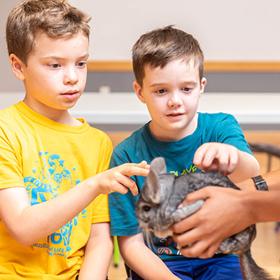 Two kids look at chinchilla