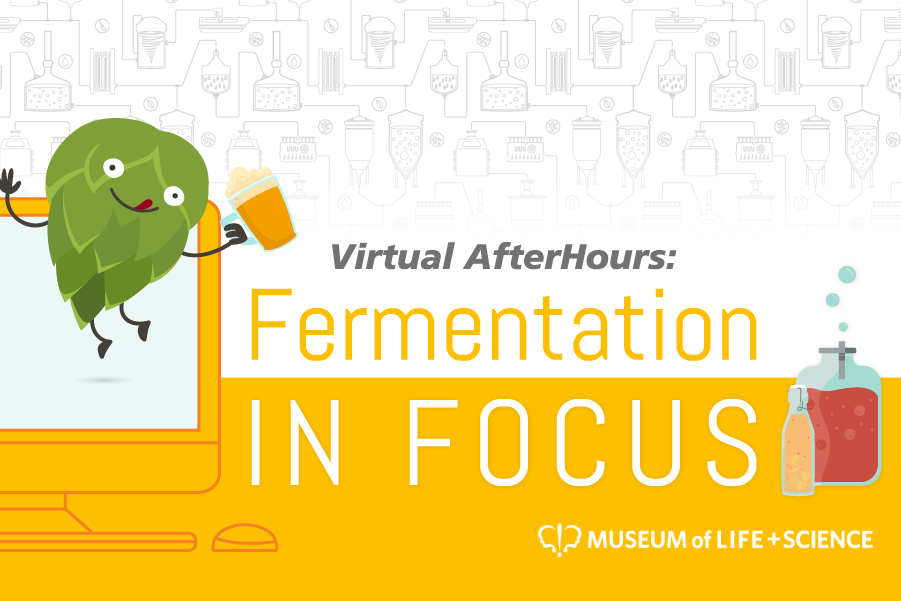 Virtual AfterHours: Fermentation in Focus - Fermentation 2021 900x600 1