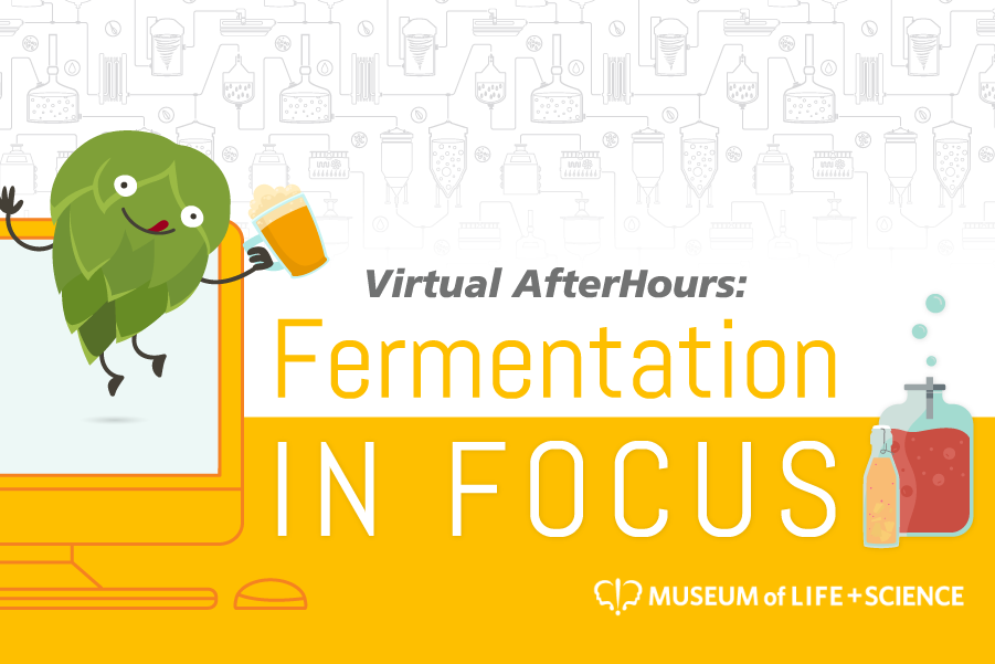 Fermentation in Focus graphic