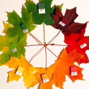 circle of colored leaves