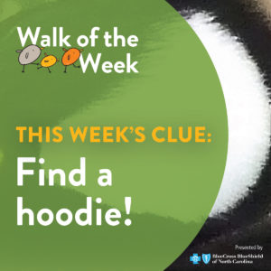 Walk of the Week graphic showing the side of a hooded merganser duck's head