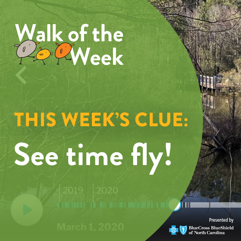 Walk of the Week graphic showing wetlands