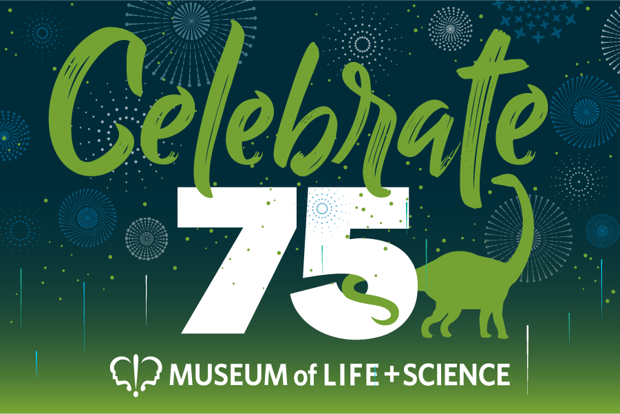 Celebrate 75: A Family Day Event - Museum of Life and Science