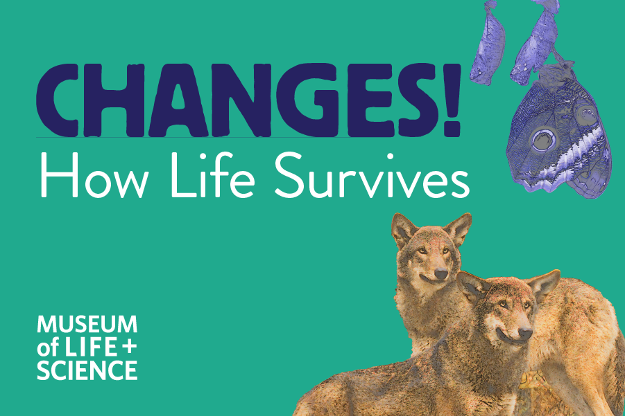 Changes How life survives Museum of Life and Science
