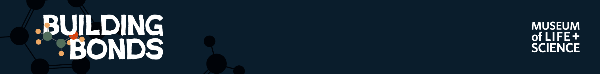 Building Bonds footer graphic