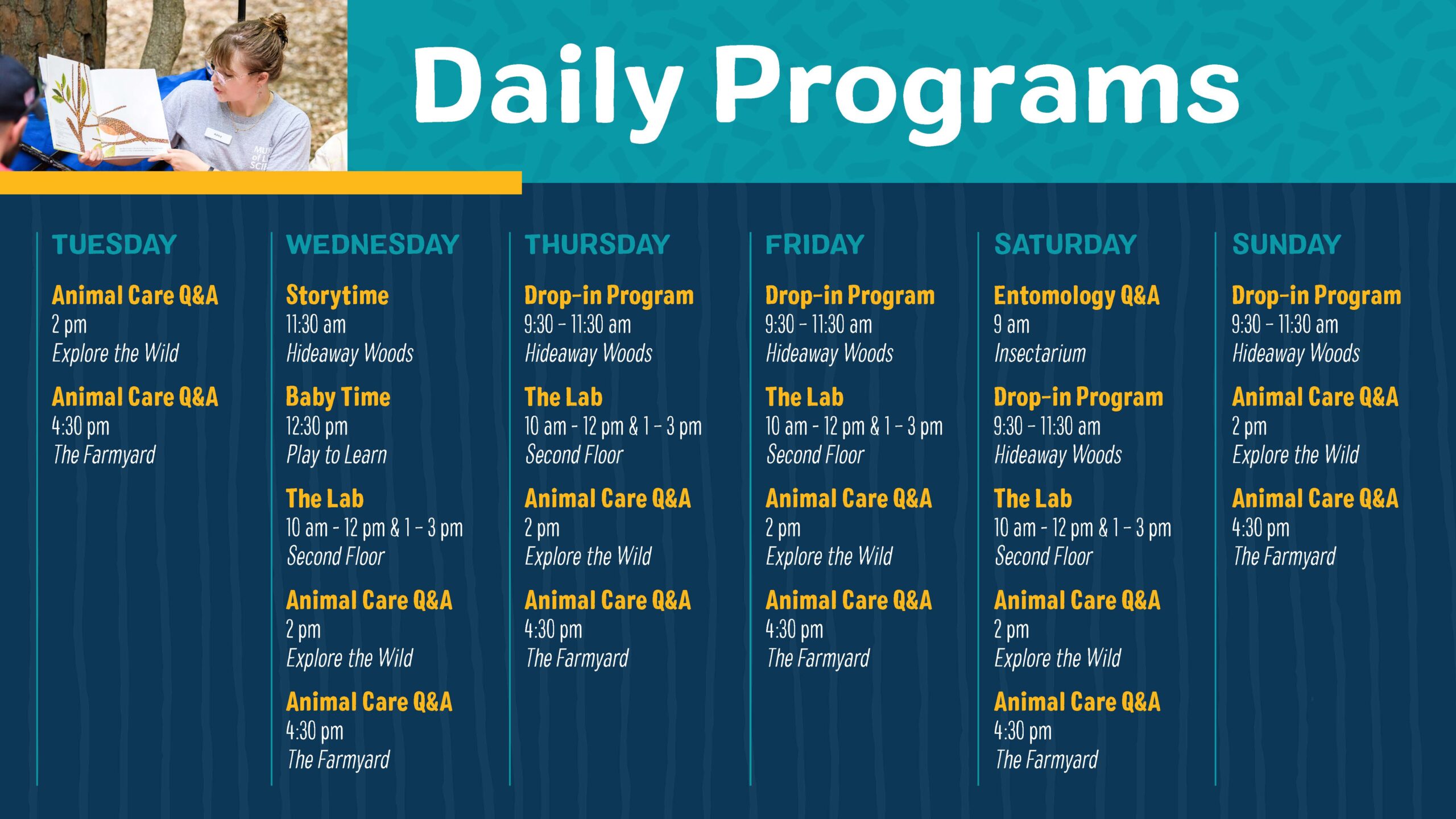 Drop in Schedule glance