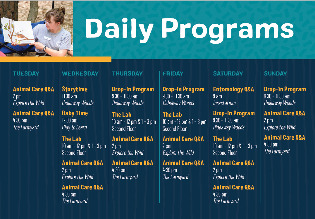 Drop in Schedule glance